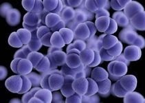 $20 Million Contest for Antibiotic Resistance Test Launches
