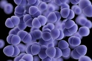 $20 Million Contest for Antibiotic Resistance Test Launches