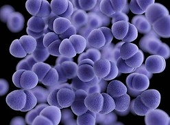 $20 Million Contest for Antibiotic Resistance Test Launches