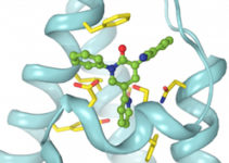 Epilepsy drugs work by ‘wedging themselves’ into receptors