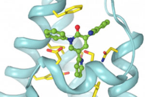 Epilepsy drugs work by ‘wedging themselves’ into receptors