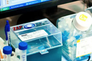 Human Embryonic Stem Cells (hESC) and Induced Pluripotent Stem Cells (iPSC)