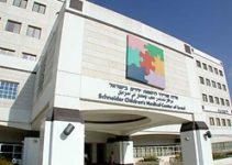 Schneider hospital records in the field of transplantation Schneider hospital records in the field of transplantation