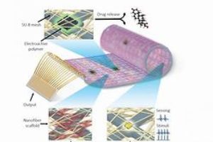 ‘Bionic heart patch’ could offer heart transplant alternative