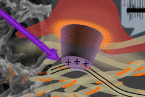Nanoslick can replace the damaged retina