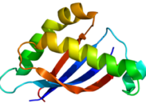 In Israel used a new cure for cancer In Israel used a new cure for cancer