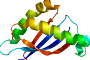 In Israel used a new cure for cancer