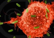 Genetic diagnosis of hereditary predisposition to cancer Genetic diagnosis of hereditary predisposition to cancer