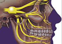 The predominant method of treatment of trigeminal neuralgia The predominant method of treatment of trigeminal neuralgia