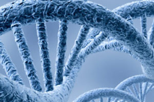 Method CEL-Seq will help in the treatment of cancer patients