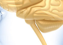 Neurology Neurology