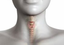 Endocrinology Endocrinology