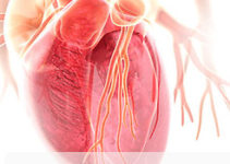 Cardiology and cardiac surgery Cardiology and cardiac surgery