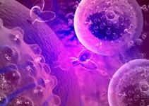 Infectology Infectology